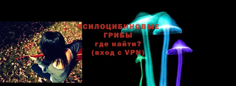 Псилоцибиновые грибы MAGIC MUSHROOMS  Каменск-Уральский 